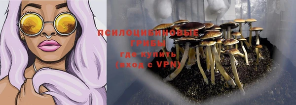 метадон Арсеньев