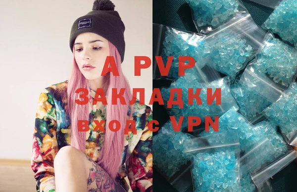 твердый Аркадак