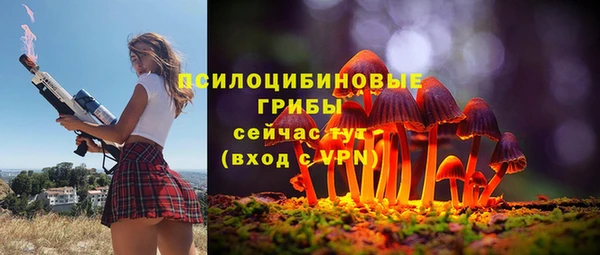 apvp Алзамай