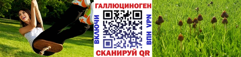 Галлюциногенные грибы мицелий  Медынь 